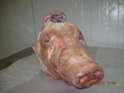 ГОЛОВЫ СВИНЫЕ (пустые)