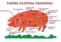 ОООЛардо